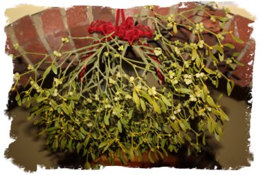 mistletoe_hanging_small