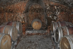 DSC 0495 01