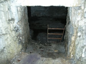 dscn6218